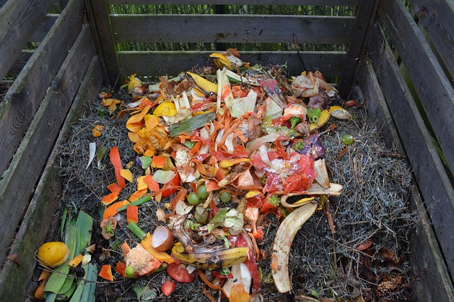 Vue Supérieure. Déchets De Cuisine Collectés Dans Un Pot De Compost De  Recyclage. Légumes épluchés Dans La Benne à Compost Sur La Photo stock -  Image du ordures, peau: 213641090
